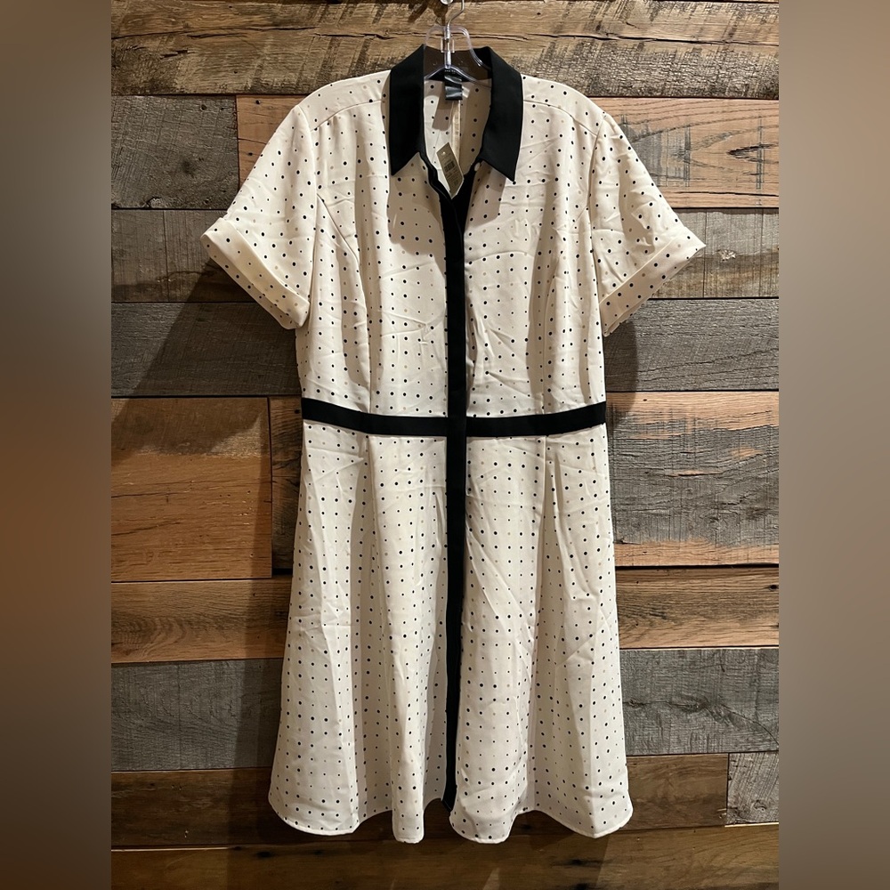 Ann Taylor Chic Polka Dot Dress with Black Accents